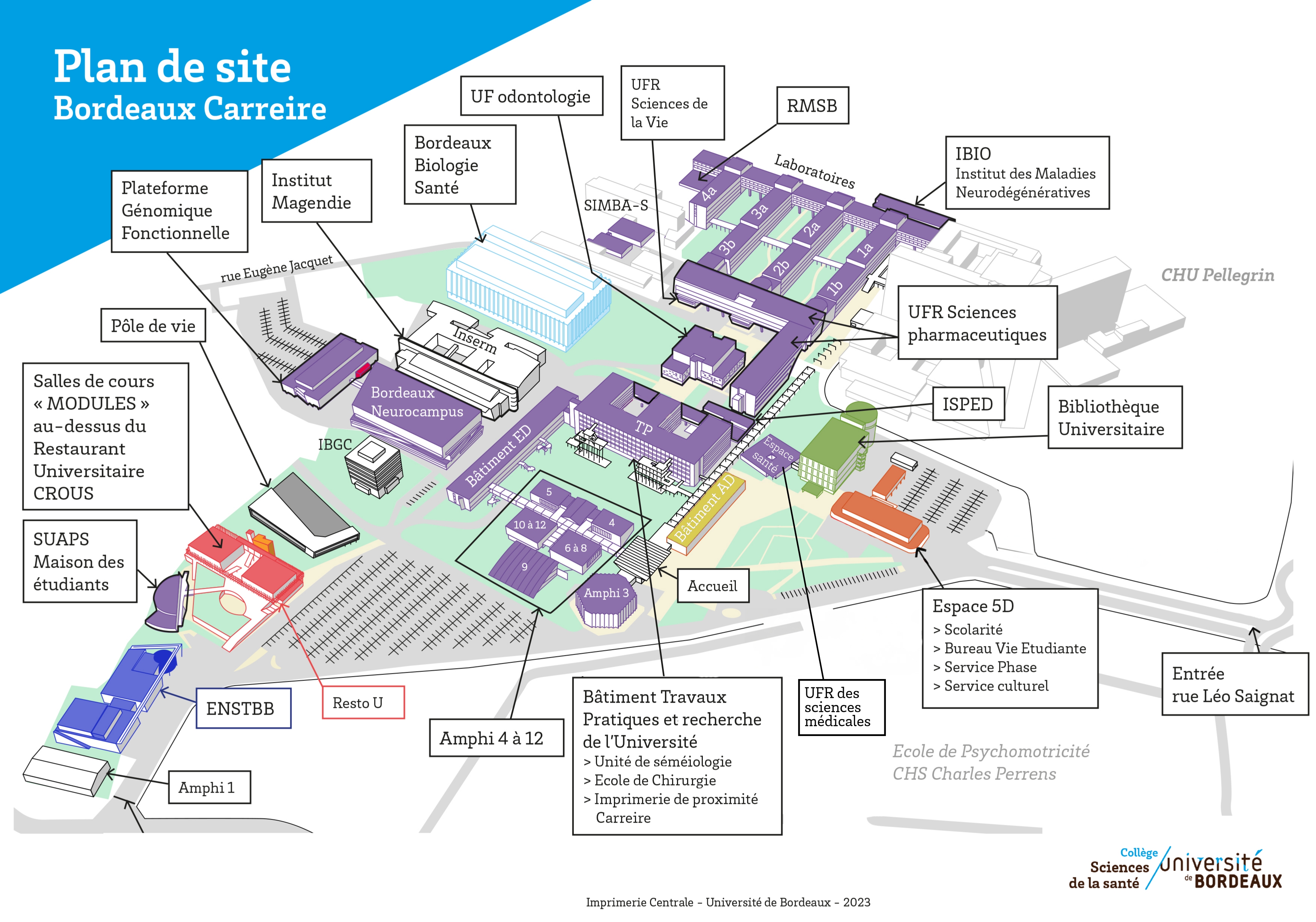 Plan Carreire.jpg