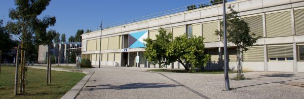 Découvrez nos formations !